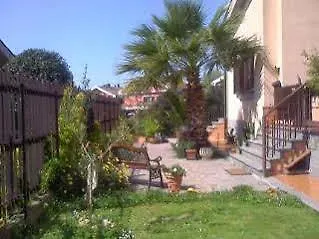 Girasolereale