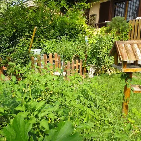 Girasolereale Bed and Breakfast 2*