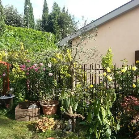 Girasolereale Rome